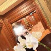 ヒメ日記 2026/02/21 12:15 投稿 美琴【ミコト】 club MARIA(大阪)