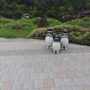 ヒメ日記 2025/12/28 16:49 投稿 るか 松戸人妻 MAD熟女