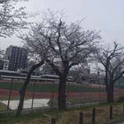 ヒメ日記 2026/04/03 08:19 投稿 るか 松戸人妻 MAD熟女