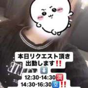 ヒメ日記 2025/04/09 11:03 投稿 飴村　なる NADIA神戸店