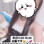 ヒメ日記 2025/04/12 10:21 投稿 飴村　なる NADIA神戸店