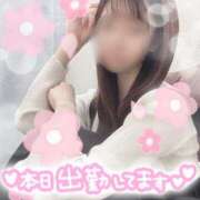 ヒメ日記 2025/04/04 14:53 投稿 ゆず 千葉人妻花壇