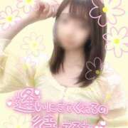 ヒメ日記 2025/04/25 15:49 投稿 ゆず 千葉人妻花壇