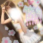 ヒメ日記 2025/06/03 18:24 投稿 ゆず 千葉人妻花壇