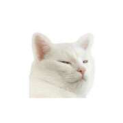 ゆず ☀️☀️☀️☀️☀️ 千葉人妻花壇