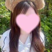 ヒメ日記 2025/06/04 16:01 投稿 レム エピソード(品川)