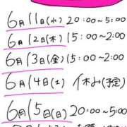 ヒメ日記 2025/06/10 16:01 投稿 レム エピソード(品川)