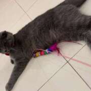 ヒメ日記 2025/04/30 00:38 投稿 春野 すみれ Men's relaxation VEGA