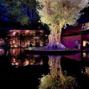 ヒメ日記 2025/07/30 20:29 投稿 春野 すみれ Men's relaxation VEGA