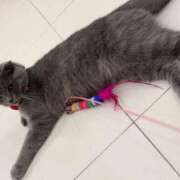 春野 すみれ 急遽🙇‍♀️🙇‍♀️ Men's relaxation VEGA