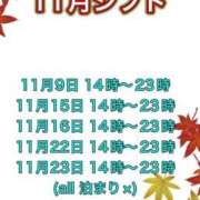 ヒメ日記 2025/11/06 12:10 投稿 明星しいな ニューハーフヘルスLIBE大阪梅田店