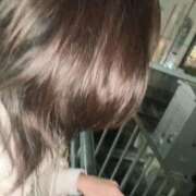 ヒメ日記 2025/12/09 20:26 投稿 明星しいな ニューハーフヘルスLIBE大阪梅田店