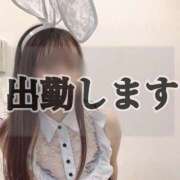 ヒメ日記 2025/10/16 17:09 投稿 のあ★理想以上の彼女♥ BUNNY PLAS