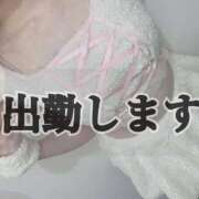 ヒメ日記 2026/03/08 14:12 投稿 のあ★理想以上の彼女♥ BUNNY PLAS