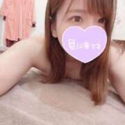 ヒメ日記 2025/04/13 22:21 投稿 マナ★マジ惚れ必至の可愛さ♥ BUNNY PLAS