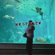 ヒメ日記 2025/04/20 21:31 投稿 マナ★マジ惚れ必至の可愛さ♥ BUNNY PLAS