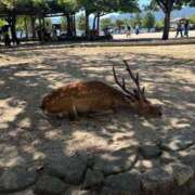 ヒメ日記 2025/07/29 18:04 投稿 マナ★マジ惚れ必至の可愛さ♥ BUNNY PLAS