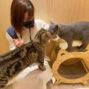 ヒメ日記 2025/09/12 11:21 投稿 マナ★マジ惚れ必至の可愛さ♥ BUNNY PLAS