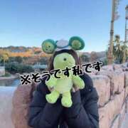 ヒメ日記 2025/11/02 18:41 投稿 マナ★マジ惚れ必至の可愛さ♥ BUNNY PLAS