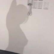 ヒメ日記 2025/11/07 20:31 投稿 マナ★マジ惚れ必至の可愛さ♥ BUNNY PLAS