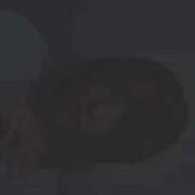 ヒメ日記 2025/12/16 13:51 投稿 マナ★マジ惚れ必至の可愛さ♥ BUNNY PLAS