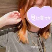 ヒメ日記 2026/02/04 18:32 投稿 マナ★マジ惚れ必至の可愛さ♥ BUNNY PLAS