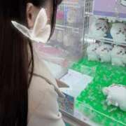 ヒメ日記 2025/04/21 14:02 投稿 れいな★超敏感体質で締まり抜群 BUNNY PLAS