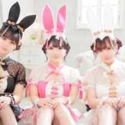 ヒメ日記 2025/12/25 15:02 投稿 れいな★超敏感体質で締まり抜群 BUNNY PLAS