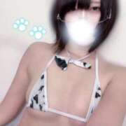 ヒメ日記 2025/11/28 15:21 投稿 こゆき★特S可憐な美少女❤ BUNNY PLAS