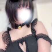 ヒメ日記 2026/05/12 14:01 投稿 こゆき★特S可憐な美少女❤ BUNNY PLAS
