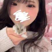ヒメ日記 2025/05/16 12:21 投稿 ナミ★大本命ロリカワ美女 BUNNY PLAS
