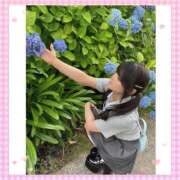 ヒメ日記 2025/06/19 07:31 投稿 ナミ★大本命ロリカワ美女 BUNNY PLAS