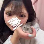 ヒメ日記 2025/06/27 13:51 投稿 ナミ★大本命ロリカワ美女 BUNNY PLAS