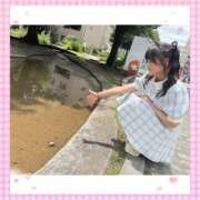 ヒメ日記 2025/07/04 12:35 投稿 ナミ★大本命ロリカワ美女 BUNNY PLAS