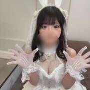 ヒメ日記 2025/08/09 00:04 投稿 ナミ★大本命ロリカワ美女 BUNNY PLAS