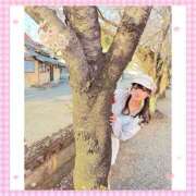 ヒメ日記 2025/08/31 13:41 投稿 ナミ★大本命ロリカワ美女 BUNNY PLAS