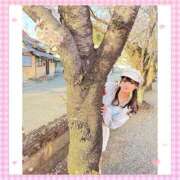 ヒメ日記 2025/09/25 09:21 投稿 ナミ★大本命ロリカワ美女 BUNNY PLAS