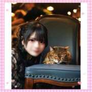 ヒメ日記 2025/09/29 12:21 投稿 ナミ★大本命ロリカワ美女 BUNNY PLAS