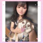 ヒメ日記 2025/10/17 08:21 投稿 ナミ★大本命ロリカワ美女 BUNNY PLAS