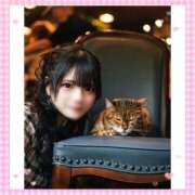 ヒメ日記 2025/10/26 12:21 投稿 ナミ★大本命ロリカワ美女 BUNNY PLAS