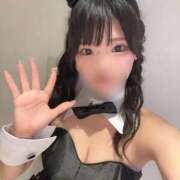 ヒメ日記 2025/11/25 12:36 投稿 ナミ★大本命ロリカワ美女 BUNNY PLAS