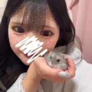 ナミ★大本命ロリカワ美女 🎀出勤しました🎀 BUNNY PLAS