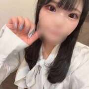 ヒメ日記 2025/12/15 00:01 投稿 ナミ★大本命ロリカワ美女 BUNNY PLAS