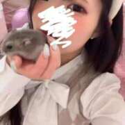 ヒメ日記 2026/02/10 08:12 投稿 ナミ★大本命ロリカワ美女 BUNNY PLAS