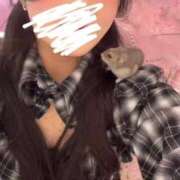 ヒメ日記 2026/02/19 19:51 投稿 ナミ★大本命ロリカワ美女 BUNNY PLAS