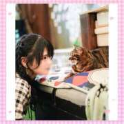 ヒメ日記 2026/02/22 17:41 投稿 ナミ★大本命ロリカワ美女 BUNNY PLAS