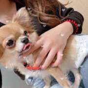 ヒメ日記 2025/07/16 08:57 投稿 森高★ プリマドンナ