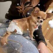 ヒメ日記 2025/08/02 13:57 投稿 森高★ プリマドンナ