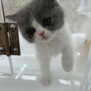 ヒメ日記 2025/08/23 07:41 投稿 みゆき 熟女デリヘル倶楽部