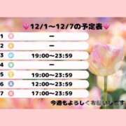 ヒメ日記 2025/12/02 22:18 投稿 大原　ふみか プルプル札幌性感エステ はんなり